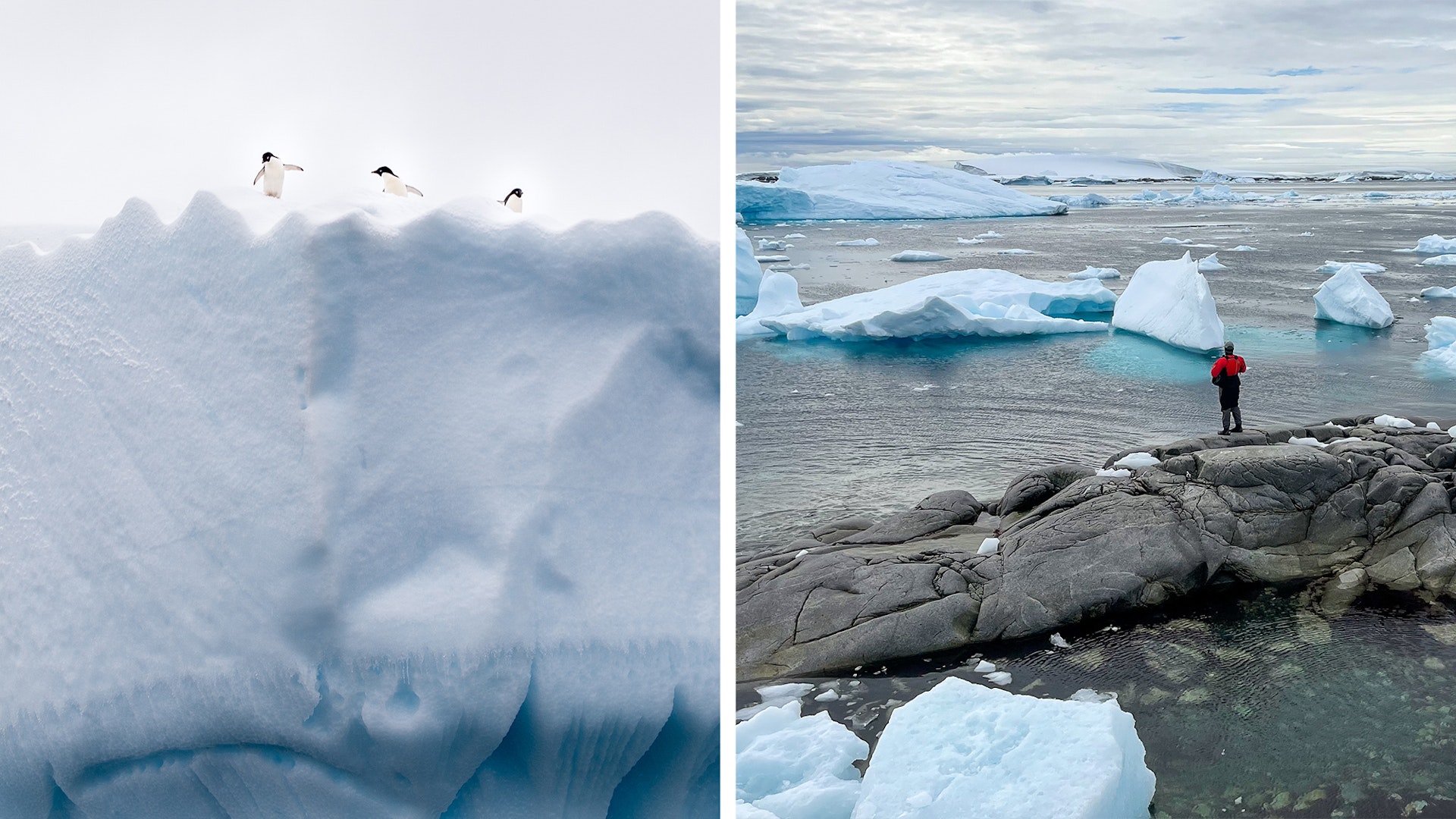 LEFT: Penguins on a glacier; RIGHT: Sebastian Modak looking out at an ice field. 
