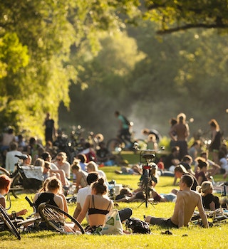 Many people sitting on the grass and relaxing at Vondelpark in Amsterdam