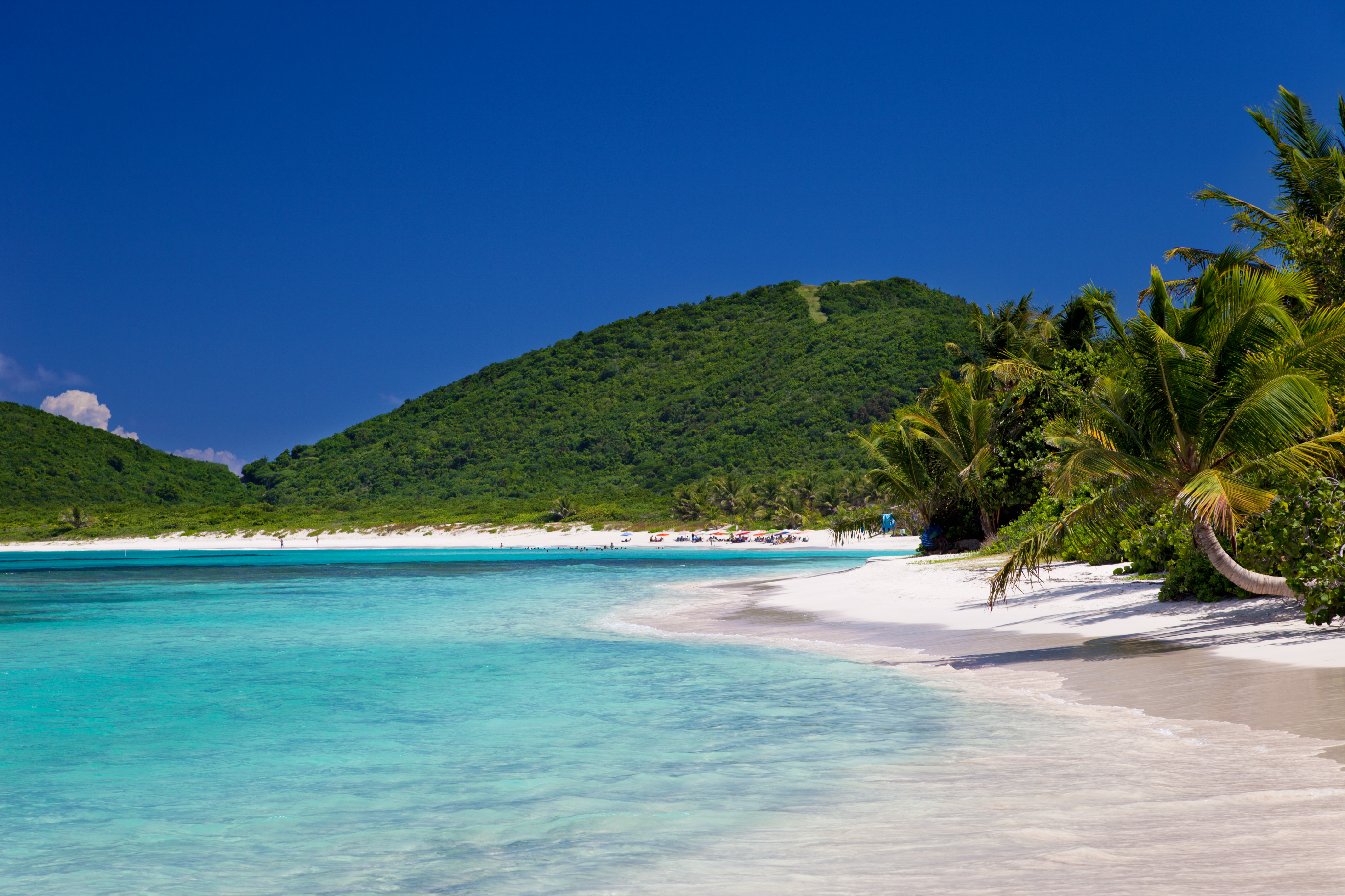 Palm trees leaning in from the right of the photograph at Flamenco Beach on Culebra Island, Puerto Rico as the sparkling, diamond-coloured sea shimmers next to the white sand