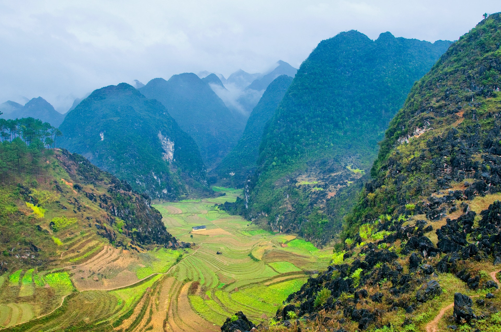 Green valley with forested mountains in Ha Giang, Vietnam