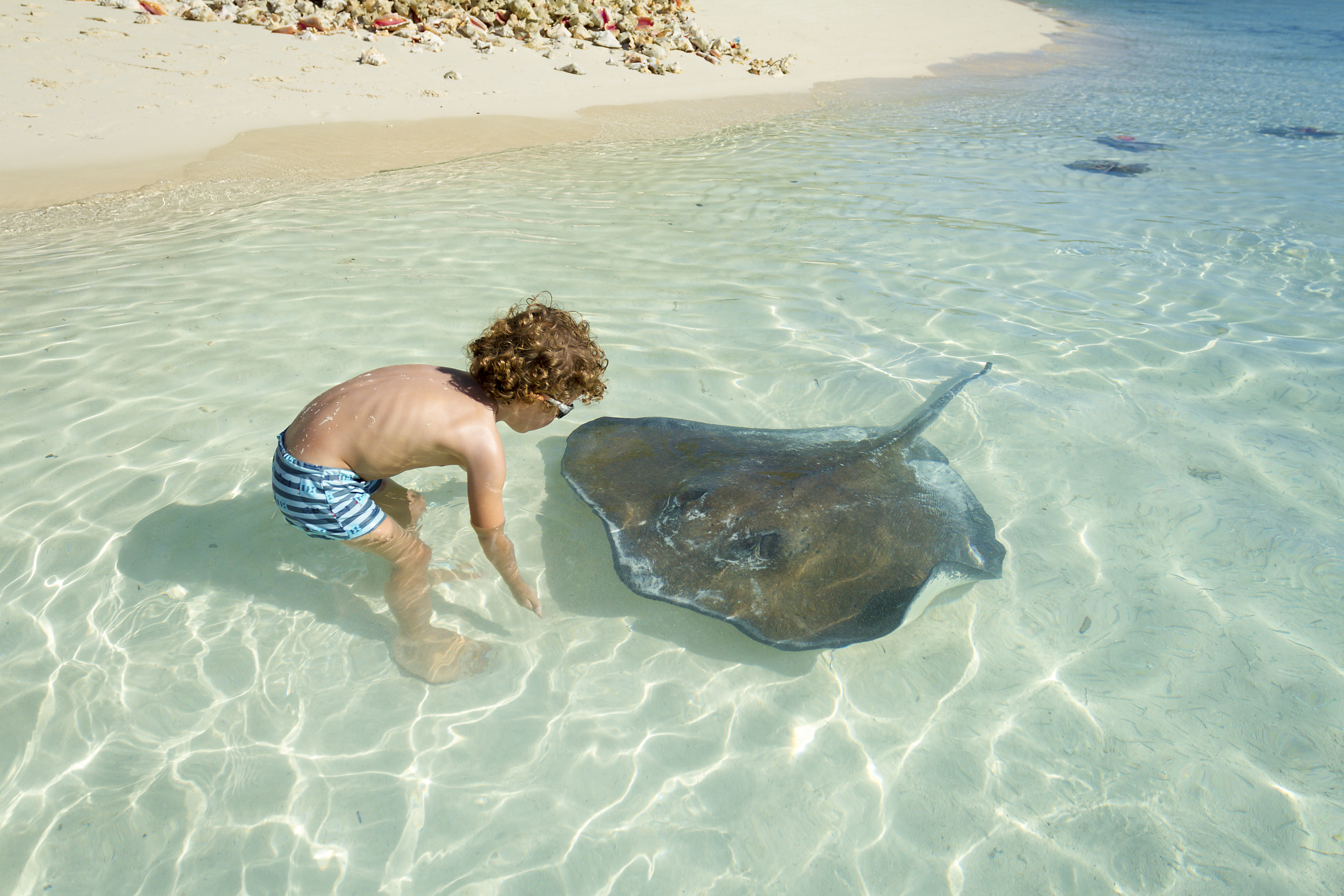 Boy interacting with ray