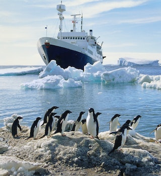 A group of penguins standing on an icy beach, ship in the water in the background, Antarctica