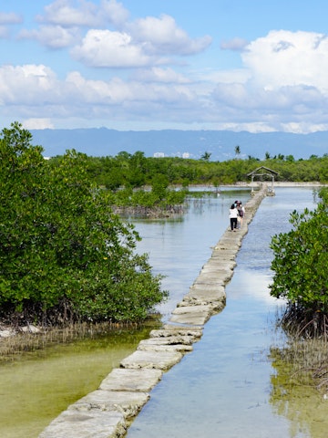 Trail to the observation deck among the water at low tide at Olango Island Wildlife Sanctuary.