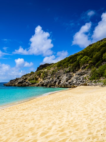 Remote and private Gouverneur Beach on the French Caribbean island of Saint Barthélemy (St Barts.).