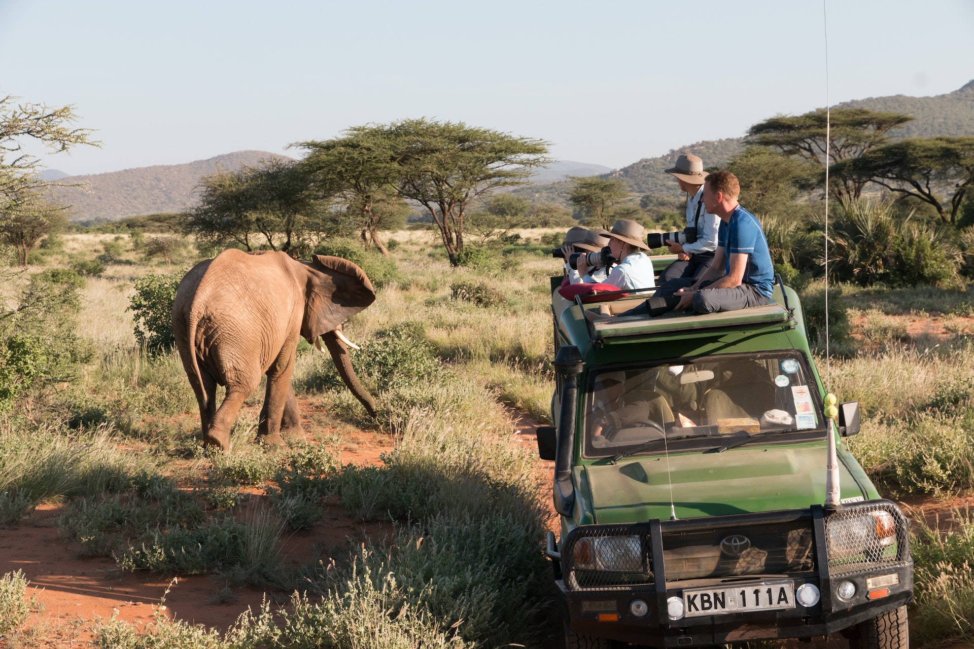 An elephant passes a safari jeep in Kenya